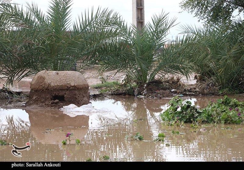 استان کرمان , سیل , سیل زده , 