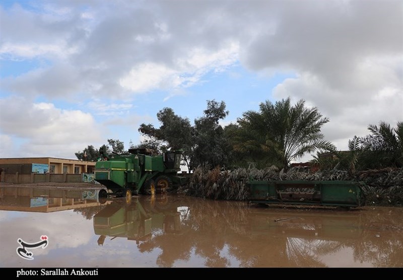استان کرمان , سیل , سیل زده , 