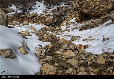 طبیعت برفی منطقه تاراز - خوزستان