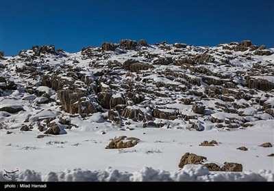 طبیعت برفی منطقه تاراز - خوزستان