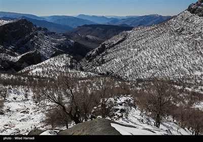 طبیعت برفی منطقه تاراز - خوزستان