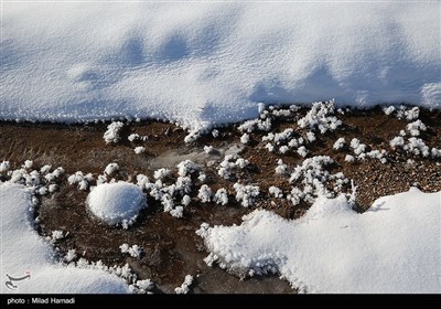 طبیعت برفی منطقه تاراز - خوزستان