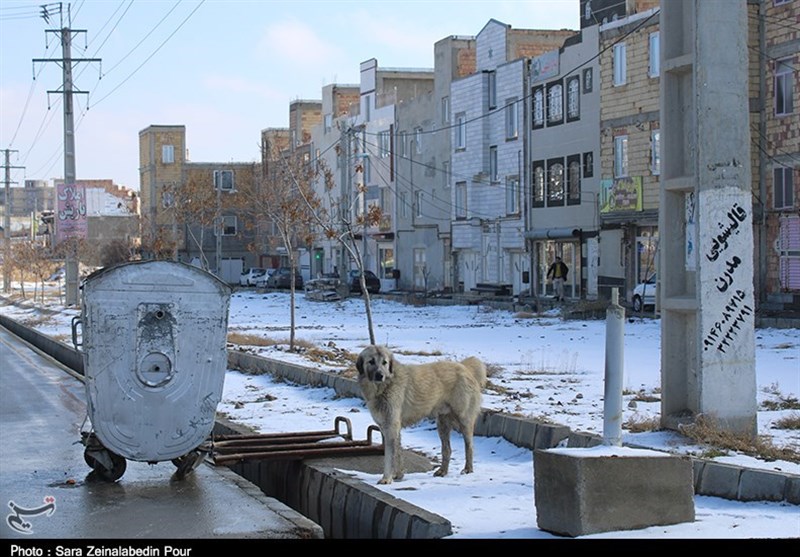 آذربایجان غربی ,