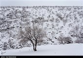 بارش برف در شهرستان دلفان و خرم آباد