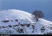 بارش برف در شهرستان دلفان و خرم آباد