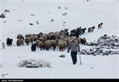 بارش برف در شهرستان دلفان و خرم آباد