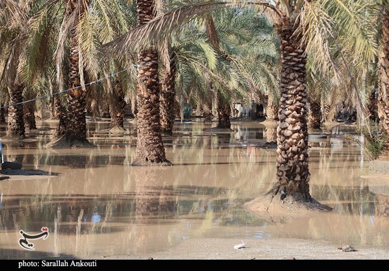 استان کرمان , سیل , سیل زده , 