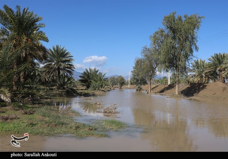استان کرمان , سیل , سیل زده , 