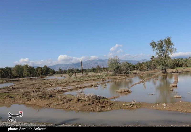 استان کرمان , سیل , سیل زده , 