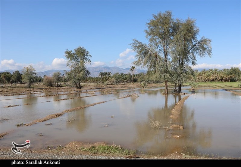 استان کرمان , سیل , سیل زده , 
