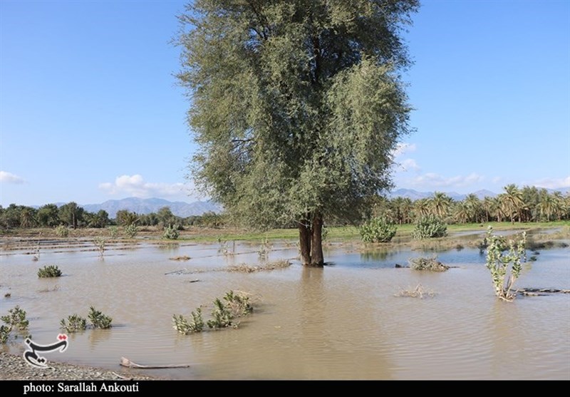استان کرمان , سیل , سیل زده , 
