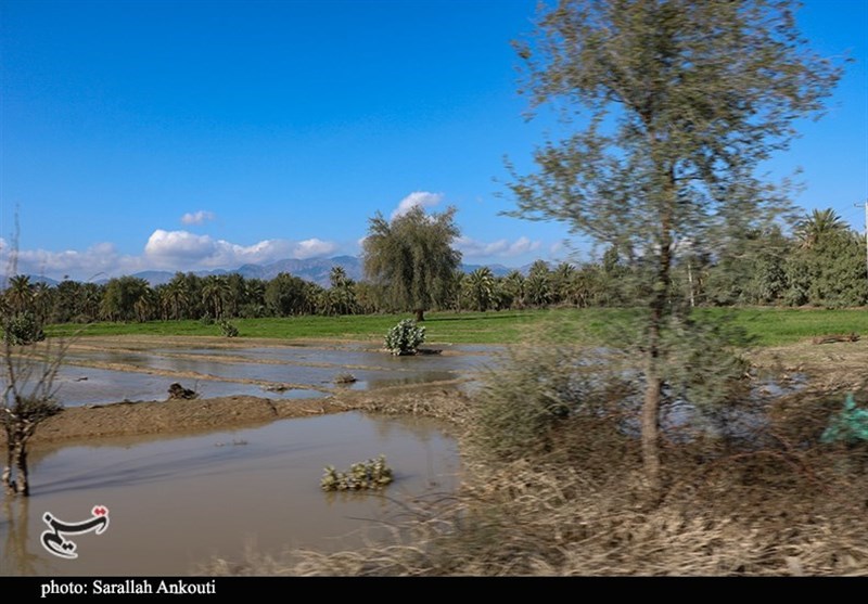 استان کرمان , سیل , سیل زده , 