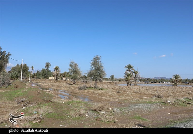 استان کرمان , سیل , سیل زده , 