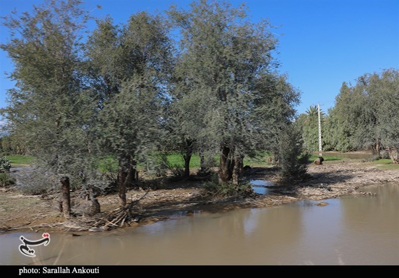 استان کرمان , سیل , سیل زده , 