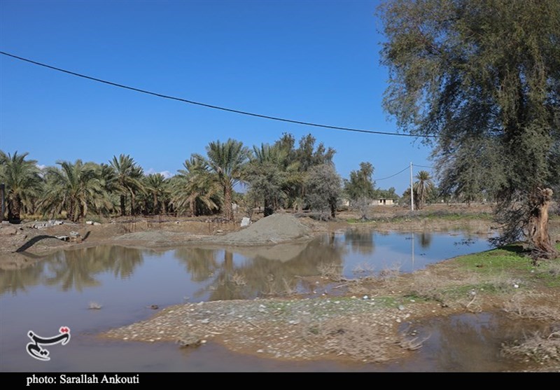 استان کرمان , سیل , سیل زده , 