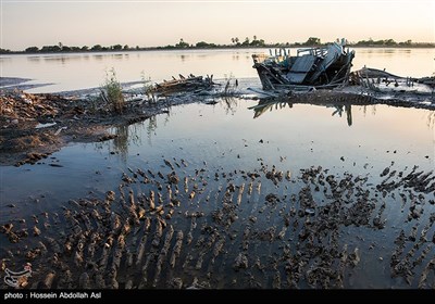 لنج های به گِل نشسته - آبادان