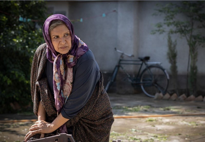 فیلم های جشنواره فیلم فجر , جشنواره فیلم فجر , 