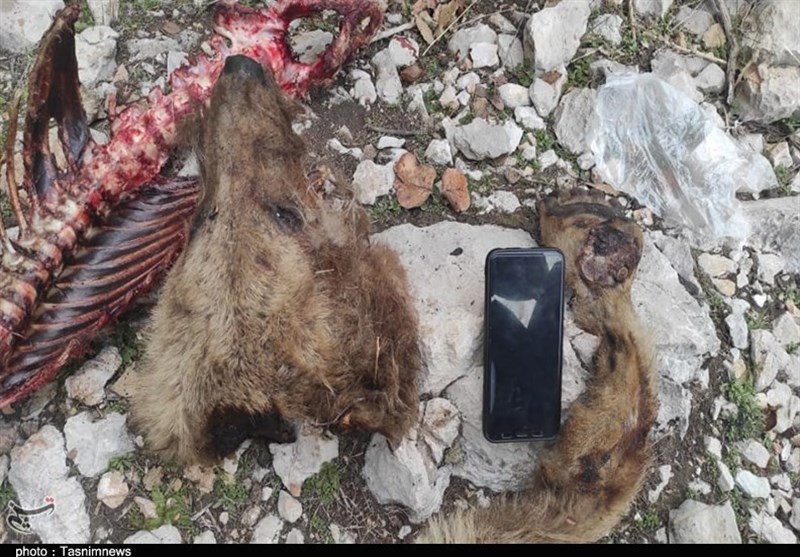 آلودگی های زیست محیطی ,