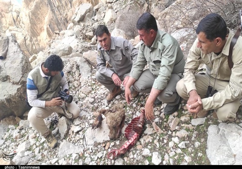 آلودگی های زیست محیطی ,