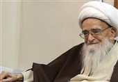 دردواره مهدی جمشیدی در سوگ ارتحال آیت‌الله صافی گلپایگانی