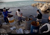 آلودگی نفتی جزیره خارگ‎