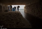 آلودگی نفتی جزیره خارگ‎