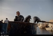 آلودگی نفتی جزیره خارگ‎