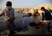 آلودگی نفتی جزیره خارگ‎