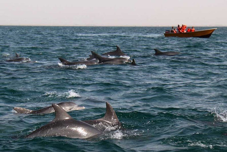 وزارت میراث فرهنگی، گردشگری و صنایع دستی , استان سیستان و بلوچستان , گردشگری | توریسم ,