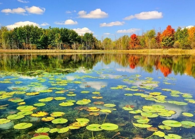 تالاب‌های ایران , سازمان محیط زیست , 