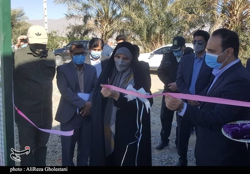 استان کرمان , کشاورزی , دهه فجر انقلاب اسلامی , 