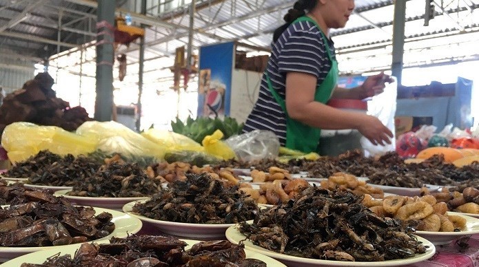 بحران های محیط زیست , پایش و نظارت در محیط زیست , کرونا , 