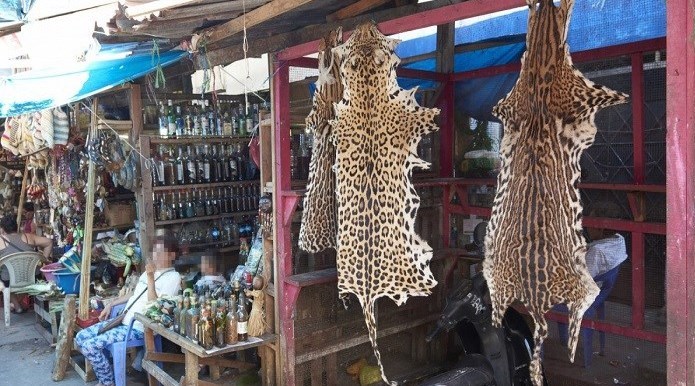 بحران های محیط زیست , پایش و نظارت در محیط زیست , کرونا , 