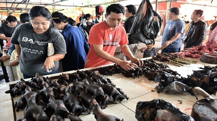 بحران های محیط زیست , پایش و نظارت در محیط زیست , کرونا , 