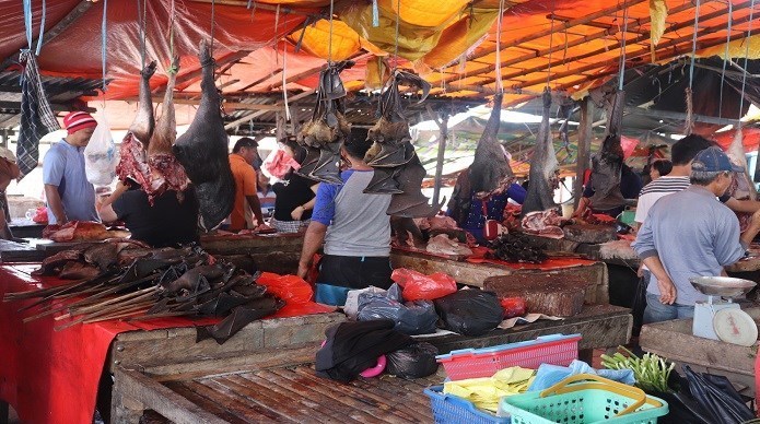 بحران های محیط زیست , پایش و نظارت در محیط زیست , کرونا , 