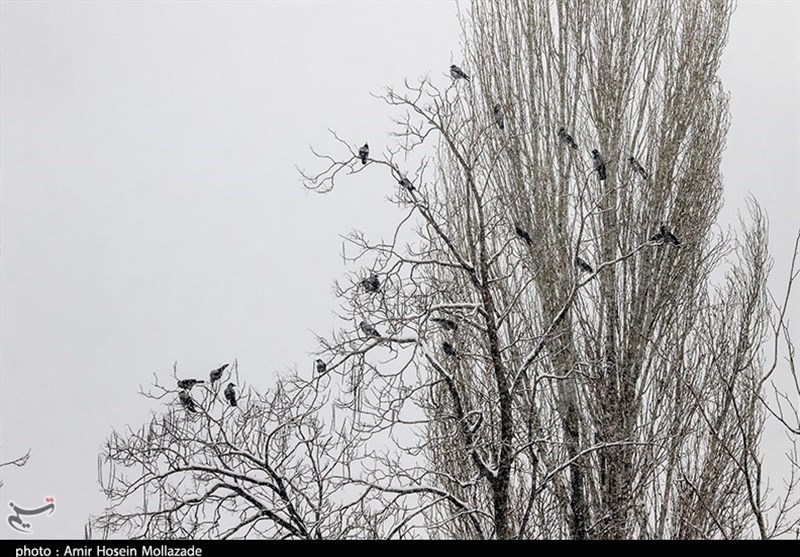 آذربایجان غربی , 