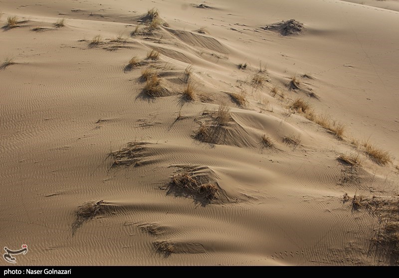 کویر ابوغویر - دهلران