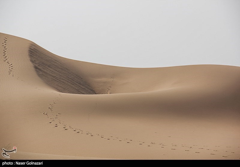 کویر ابوغویر - دهلران