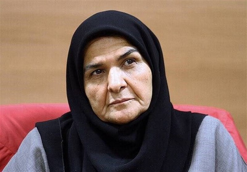 سینما , سینمای ایران , جشنواره فیلم فجر , مهران مدیری , رضا میرکریمی ,