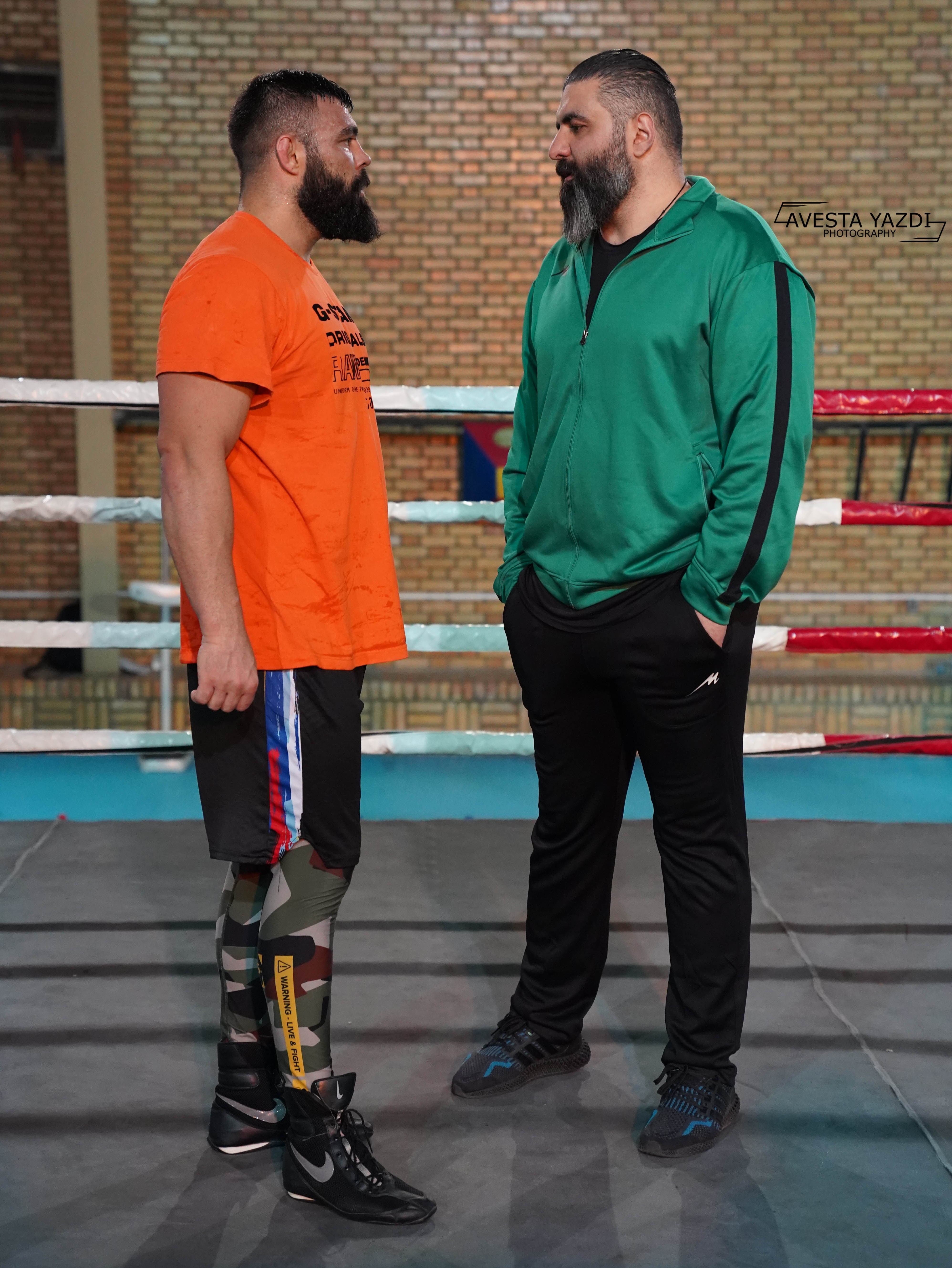 علیرضا استکی , 