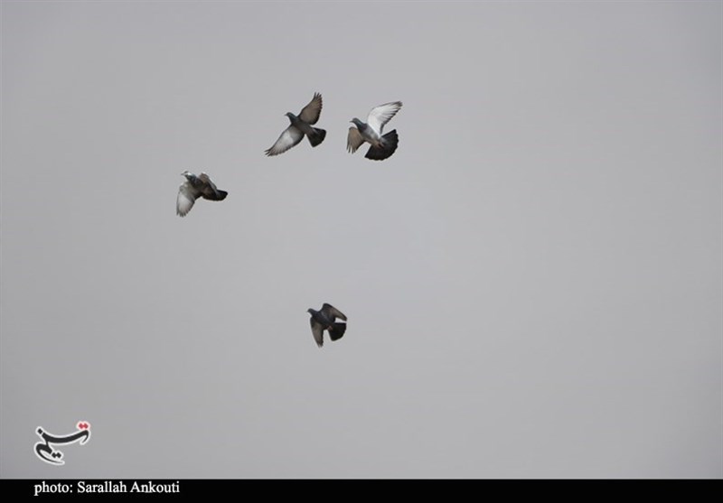 استان کرمان , 