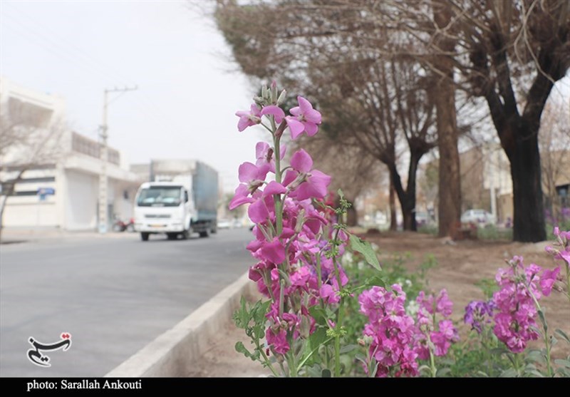 استان کرمان , 