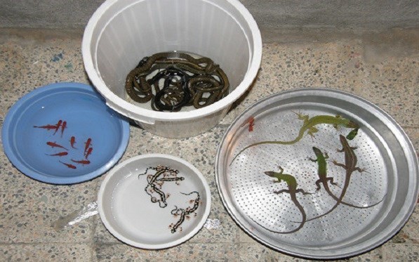 گردشگری | توریسم , پایش و نظارت در محیط زیست , 