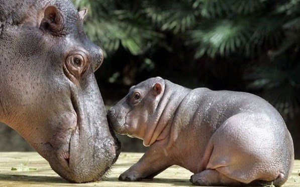 گردشگری | توریسم , پایش و نظارت در محیط زیست , 