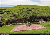 چادرنشینی در دل طبیعت - ایلام