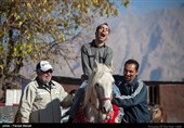 روز جهانی معلولان / باشگاه اسب سواری معلولان 