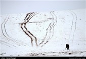 بارش برف در ابهر - زنجان 