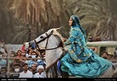دومین فستیوال کشوری اسبان اصیل ایرانی - جم