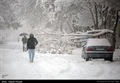 خسارت های ناشی از بارش شدید برف در سنندج