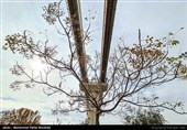 زندگی با مونوریل - قم